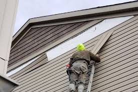 Best Wood Siding Installation  in Vevay, IN